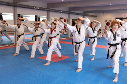 2010 10 Taekwondo 8656 Facebook